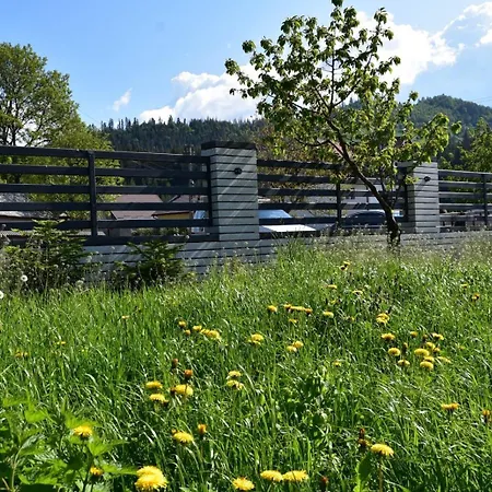 Bucovina Magic-authentic Фермерский дом *
